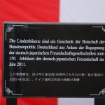 jdg_k20111110_01.jpg